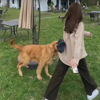 相信奇迹